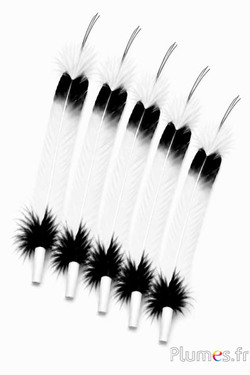 Gans - Indianerfeder - 30-35 cm - weiß-schwarz